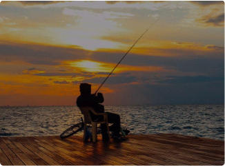 MỒI THUỐC CÂU CÁ MTCC