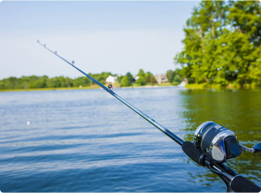 MỒI THUỐC CÂU CÁ MTCC